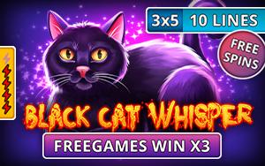 Black Cat Whisper